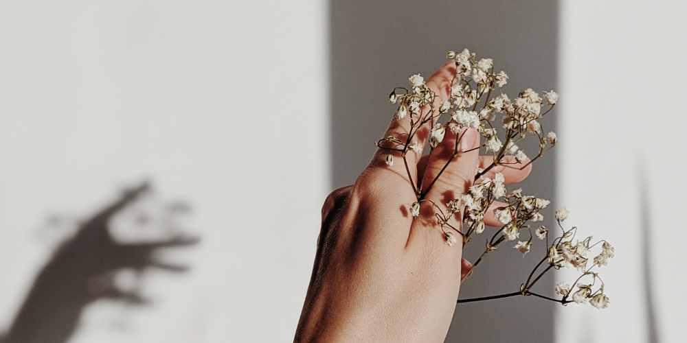 5 Common Beauty Myths – MV SKINTHERAPY