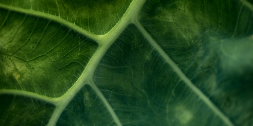 MV SKINTHERAPY: Embrace the Power of Doing Less MV SKINTHERAPY: Embrace the Power of Doing Less