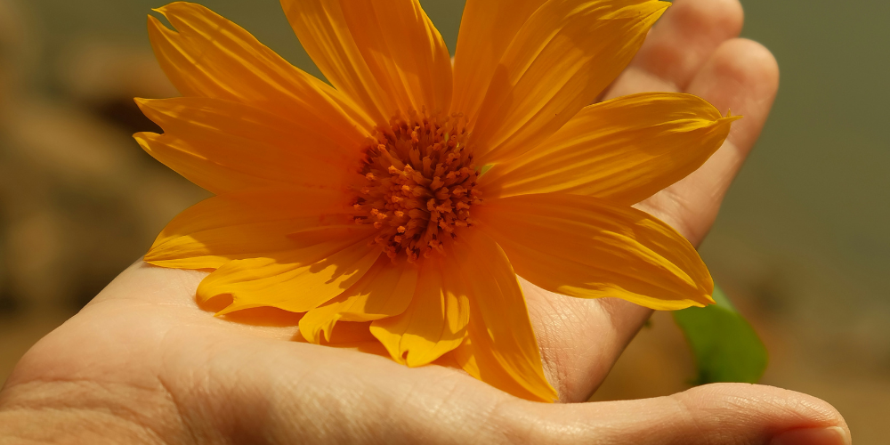 The Importance Of Nurturing The Mother