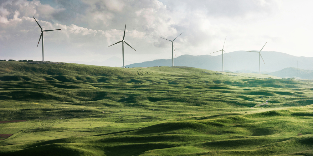 Our Commitment to Sustainability